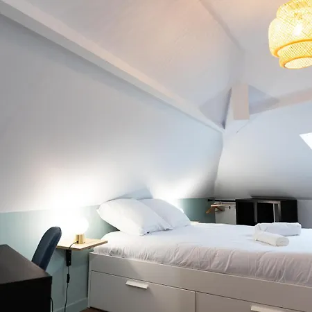 Duplex T3 Moderne Et Lumineux Appartement Angers