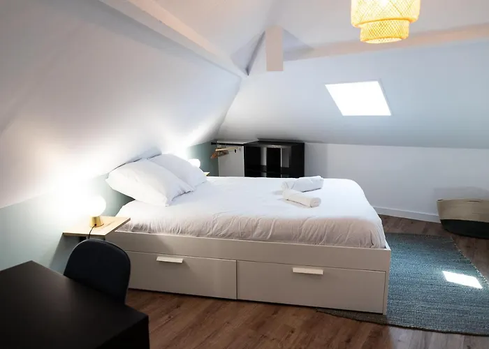 Duplex T3 Moderne Et Lumineux Angers