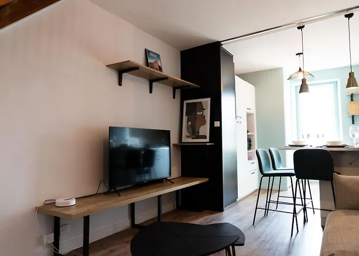 Duplex T3 Moderne Et Lumineux Angers